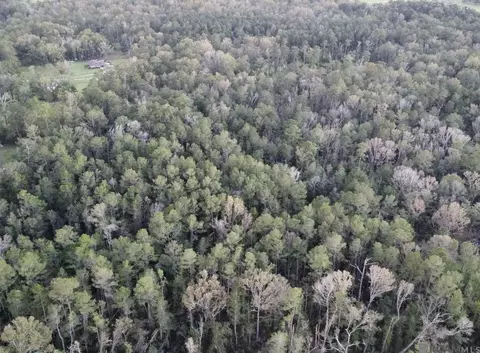 5 12 Acres White Oak Ln, Springfield, LA 70462 photo 23