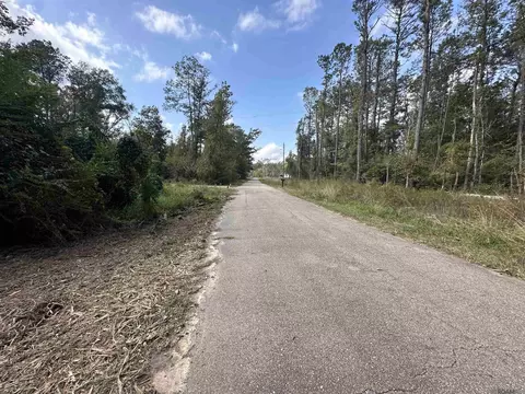 5 12 Acres White Oak Ln, Springfield, LA 70462 photo 3