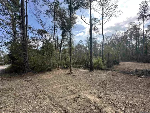 5 12 Acres White Oak Ln, Springfield, LA 70462 photo 18