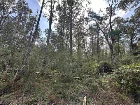 5 12 Acres White Oak Ln, Springfield, LA 70462 photo 7