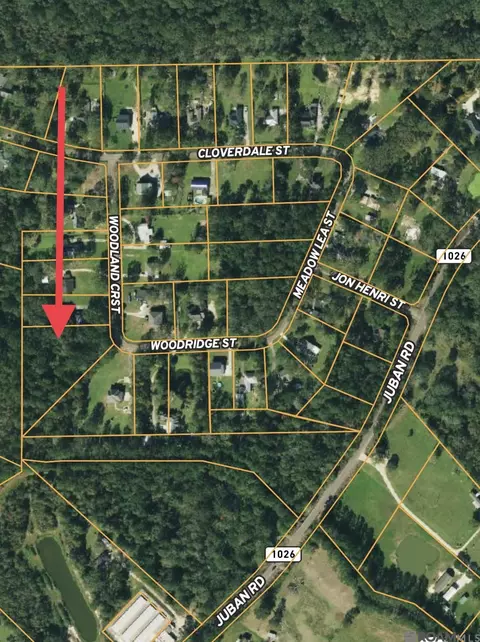 2 06 Acres Woodridge St, Denham Springs, LA 70726