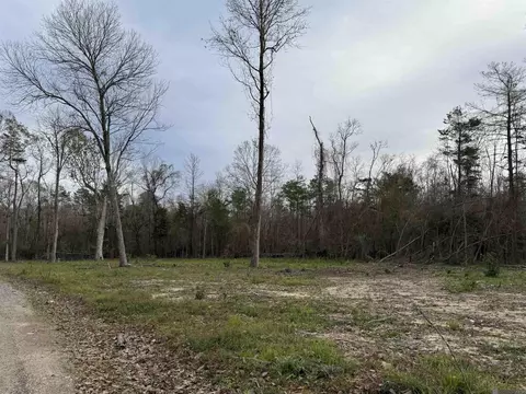 29428 Linda Hvn, Springfield, LA 70462