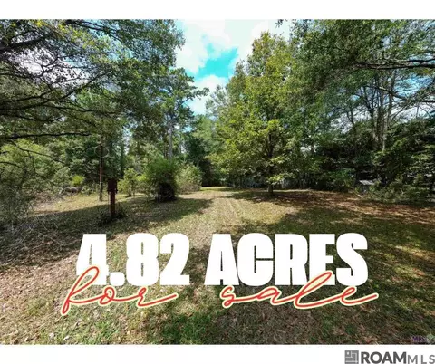 24221 Joe May Rd, Denham Springs, LA 70726