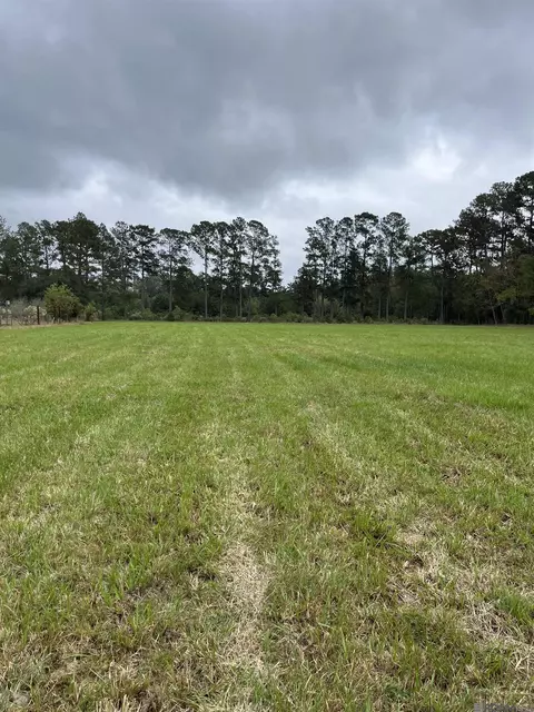tbd Pete Miller Rd, Livingston, LA 70754