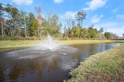 View/Area - 13155 Hanks Way, Walker, LA 70785 photo 1 of 1