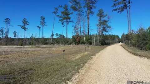 Tract 1c Teal Mcdaniel Rd, Amite, LA 70443