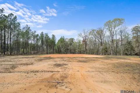 38520 Leggett Rd, Walker, LA 70785
