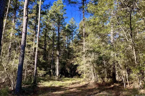 15 Hall And Lindsey Rd, Greensburg, LA 70441