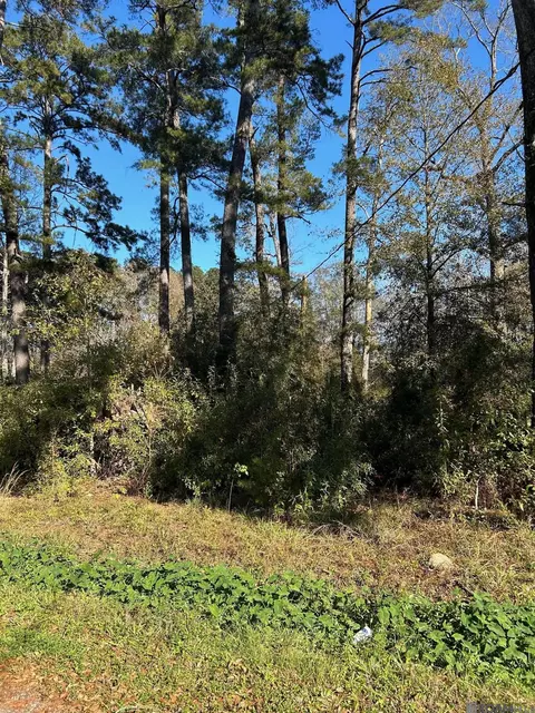 lot15 Magnolia Dr, Walker, LA 70785