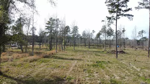 lot29 Tungoil Rd, Pine Grove, LA 70453