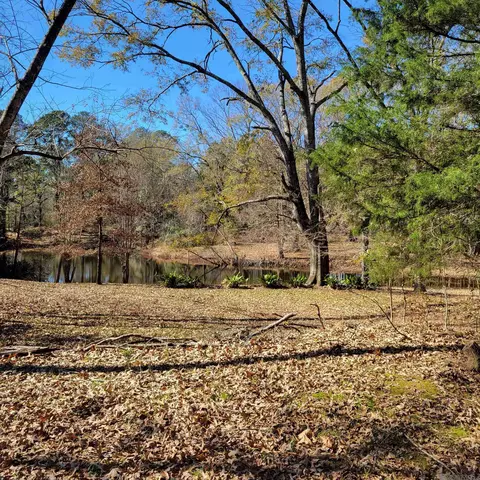 10678 Lindsey Ln, Saint Francisville, LA 70775