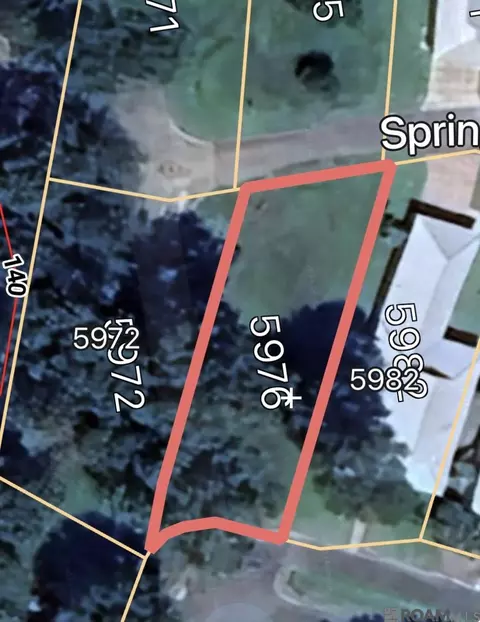 5976 Springfield Ct, Saint Francisville, LA 70775