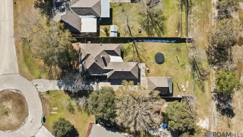 View/Area - 13186 David Lee Dr, Walker, LA 70785 photo 3 of 3