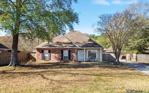 Other - 13186 David Lee Dr, Walker, LA 70785 photo 4 of 4