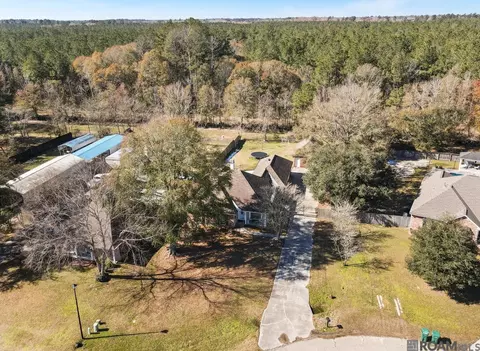 View/Area - 13186 David Lee Dr, Walker, LA 70785 photo 2 of 3