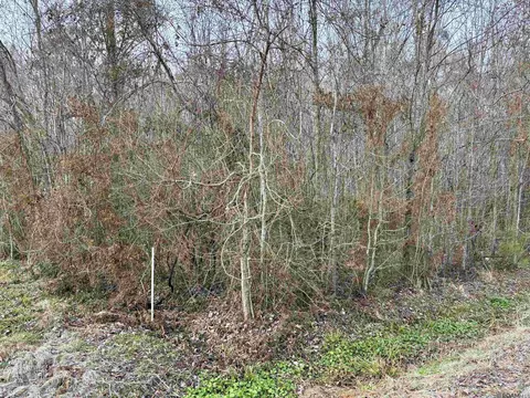 lot Apt 10-a Lucien St, Port Vincent, LA 70726
