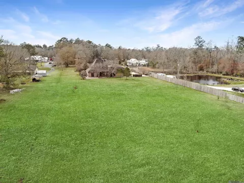 View/Area - 12395 Pendarvis Ln, Walker, LA 70785 photo 1 of 2