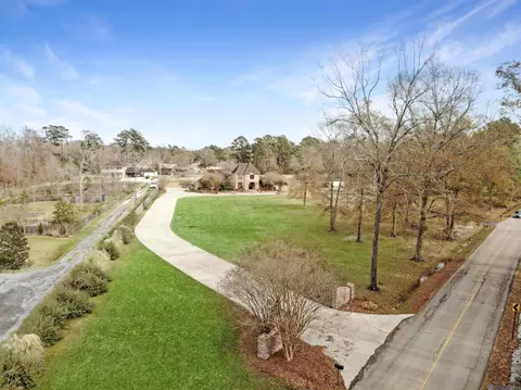View/Area - 12395 Pendarvis Ln, Walker, LA 70785 photo 2 of 2