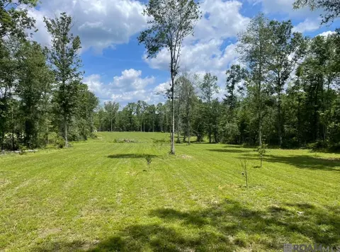 785 Hornsby Rd, Pine Grove, LA 70453