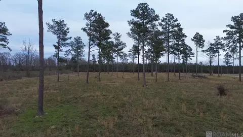lot19 20 Tungoil Rd, Pine Grove, LA 70453