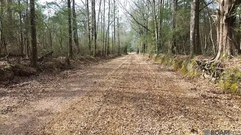 Tract 2-a Bryce Hyde Rd, Roseland, LA 70456