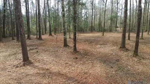 Tract 2-b Bryce Hyde Rd, Roseland, LA 70456