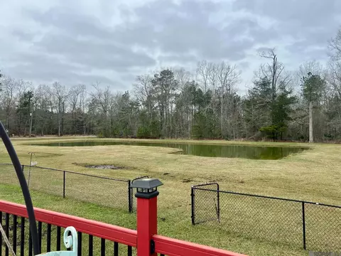 34420 Weiss Rd, Walker, LA 70785 photo 27