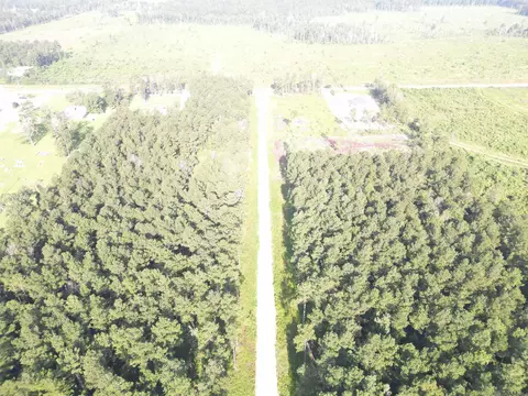 lot13 Butterbean Rdg, Livingston, LA 70754