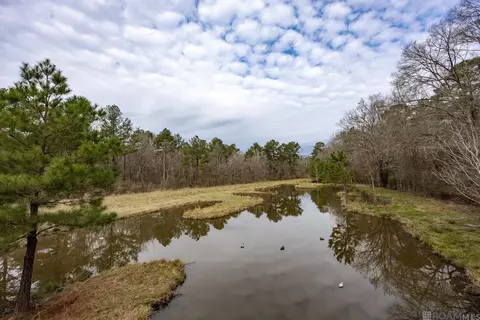17285 Mahoney Rd, Pride, LA 70770 photo 6