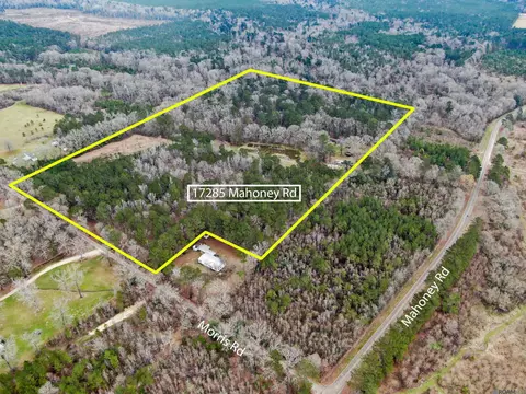 17285 Mahoney Rd, Pride, LA 70770