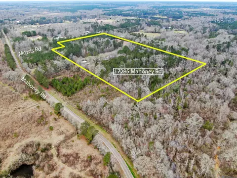 17285 Mahoney Rd, Pride, LA 70770 photo 2
