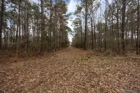 17285 Mahoney Rd, Pride, LA 70770 photo 12