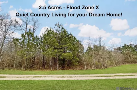 Dallie Ln, Denham Springs, LA 70726