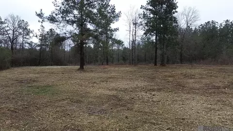 Tract 2-b La Hwy 1049, Kentwood, LA 70444