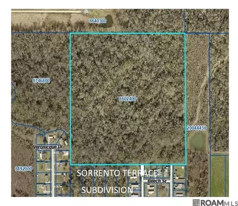 tbd Oak St, Sorrento, LA 70778