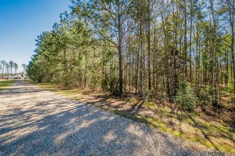 32701 Weiss Rd, Walker, LA 70785 photo 5