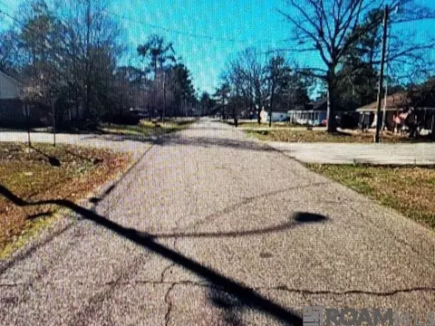 View/Area - 12828 Ina Dr, Walker, LA 70785 photo 1 of 1