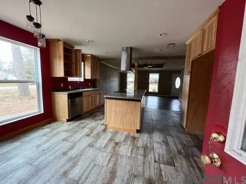 Other - 12828 Ina Dr, Walker, LA 70785 photo 2 of 3