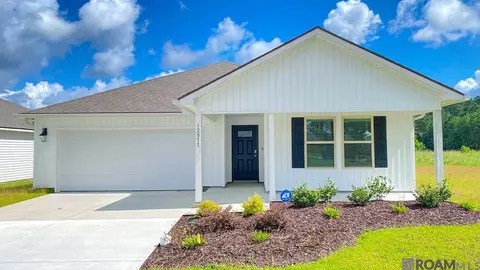 12877 Catalpa Ave, Denham Springs, LA 70726