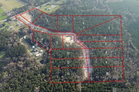18520 Settlement Trce, Livingston, LA 70754