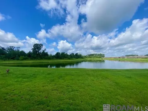 23217 Harlington Dr, Denham Springs, LA 70726