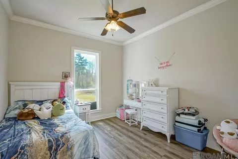 33520 Stella Ln, Walker, LA 70785 photo 27