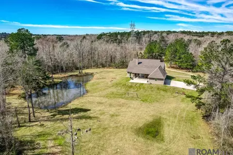 33520 Stella Ln, Walker, LA 70785 photo 38