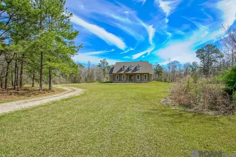33520 Stella Ln, Walker, LA 70785 photo 4