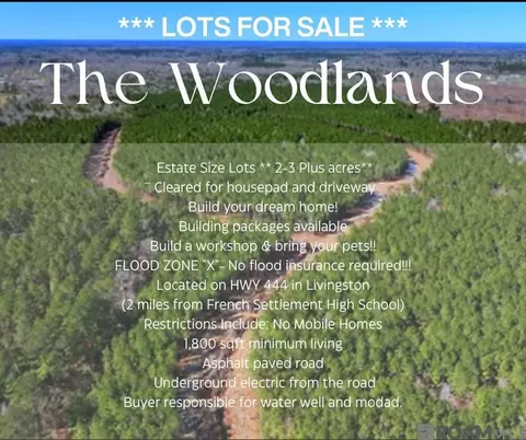 lot10 Honey Grv, Livingston, LA 70754
