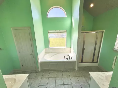 Bath - 12472 Winter Ridge Dr, Walker, LA 70785 photo 3 of 3