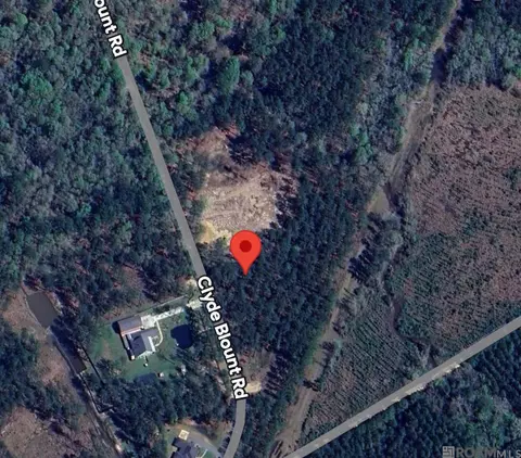 27642 Clyde Blount Rd, Livingston, LA 70754