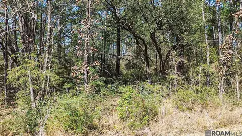 tbd Warrior Dr, Lacombe, LA 70445 photo 7