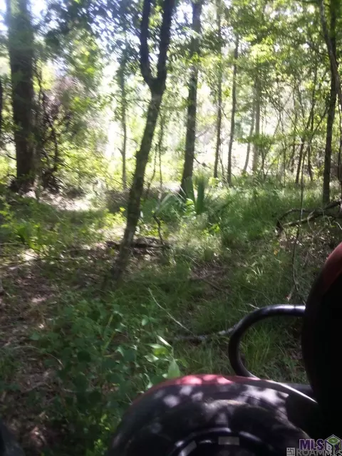 tbd Kathys Cv, Walker, LA 70785