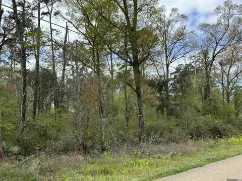 tbd Vincent Place Ave, Denham Springs, LA 70726